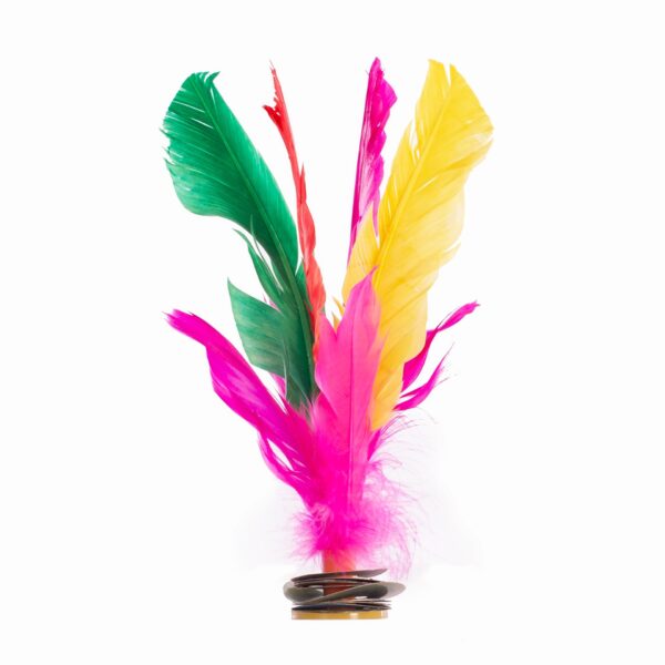 LOTE 6 INDIAKAS FÚTBOL PLUMA MULTICOLOR - Imagen 2