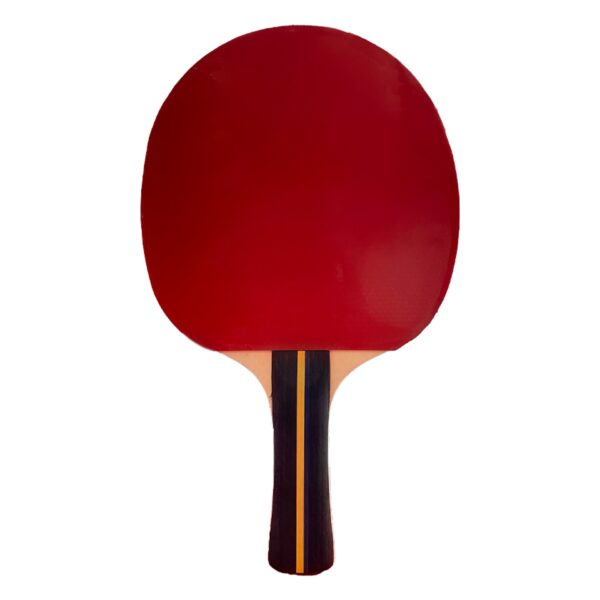 RAQUETA TENIS DE MESA SOFTEE P200 - Imagen 2