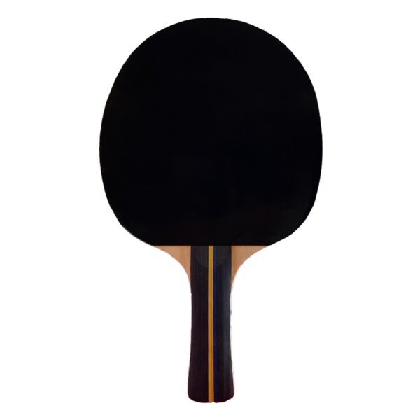 RAQUETA TENIS DE MESA SOFTEE P200 - Imagen 3