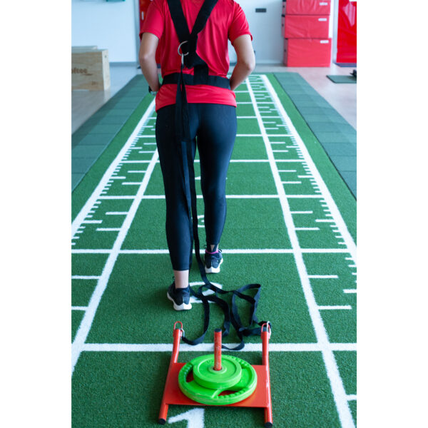 TRINEO ENTRENAMIENTO - Imagen 4
