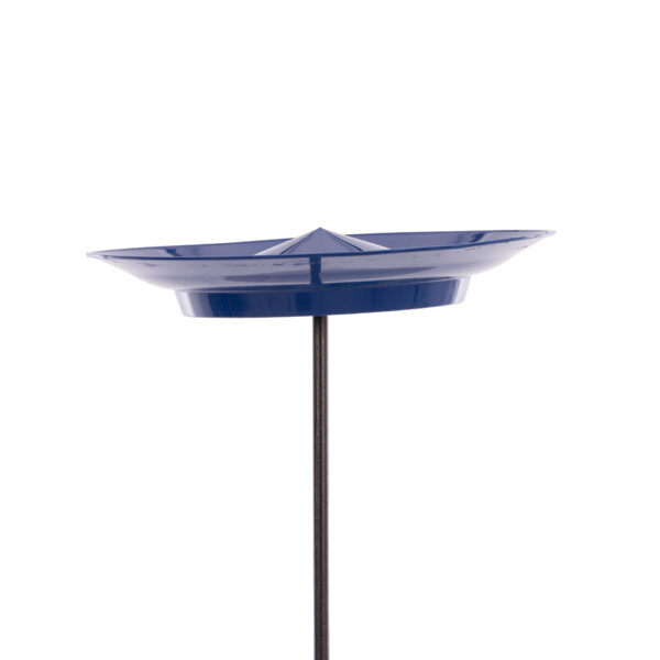SET PLATO CHINO - Imagen 2